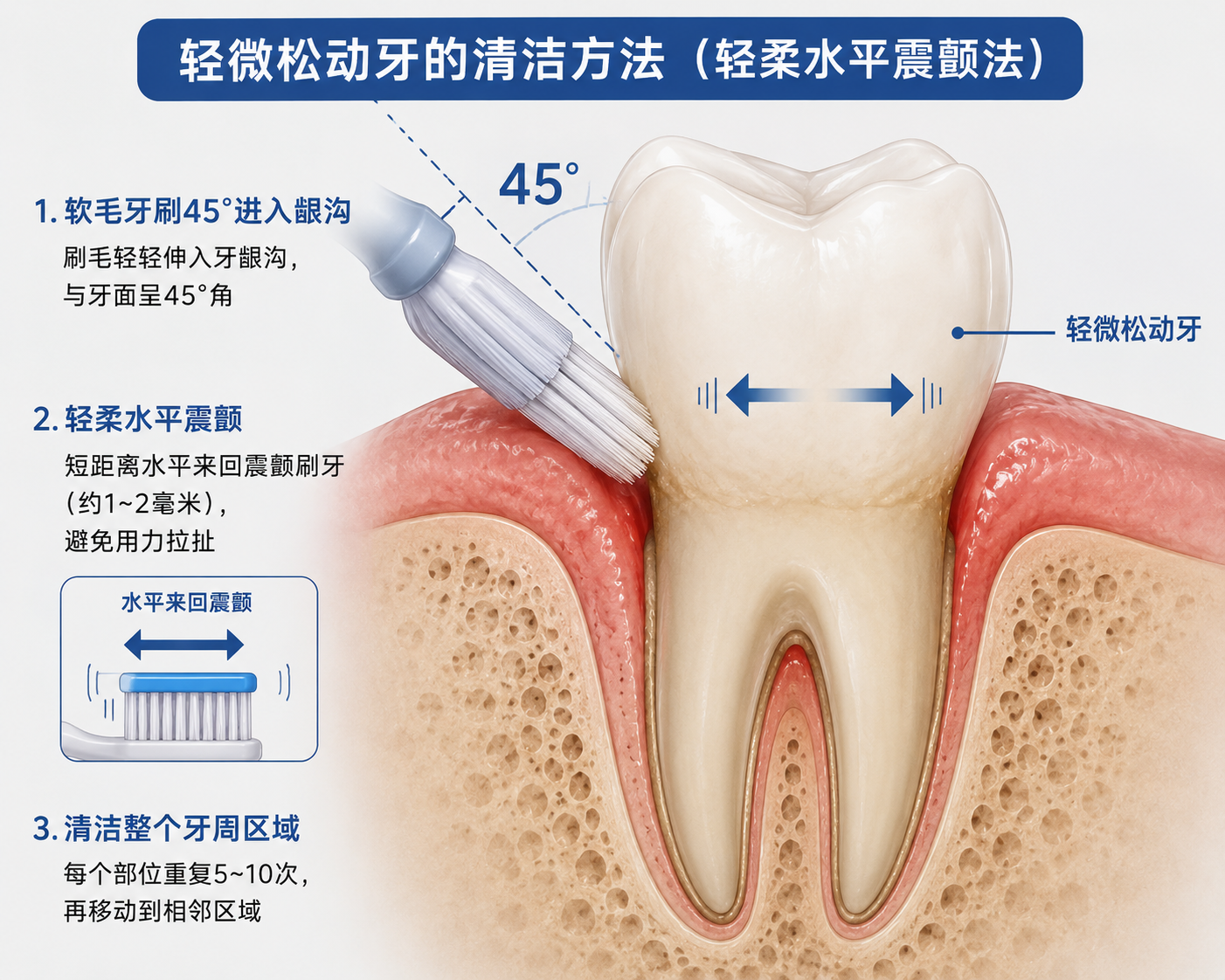 牙齒鬆動了，在家怎麼「保養」？醫生：這5件事，比吃藥還重要